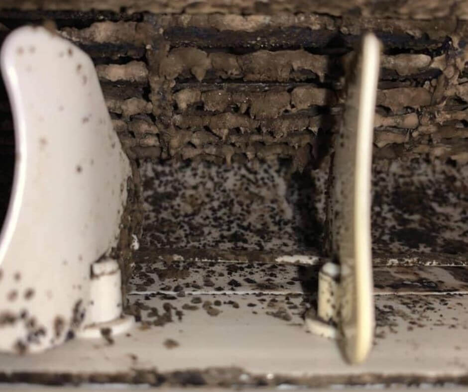 Wall mounted AC cleaning - Interieur mural Inside a wall-mounted heat pump unit / AC